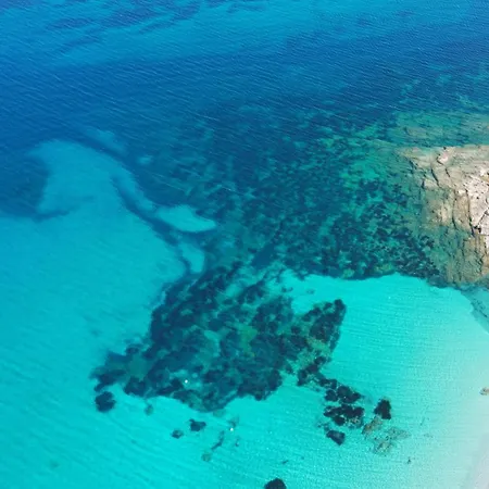 U Caseddu - Vue Mer, Evasion Et Confort 빌라 보니파시오